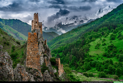 vovnushki_28
