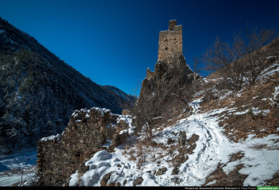 vovnushki_23