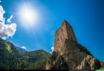 vovnushki_73