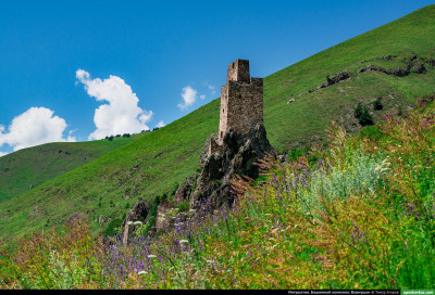 vovnushki_68