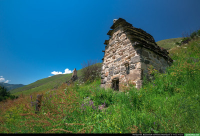 vovnushki_75