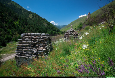 vovnushki_74