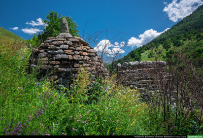 vovnushki_80
