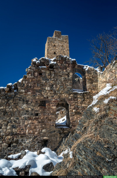 vovnushki_20
