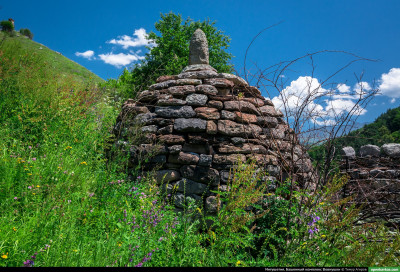 vovnushki_79