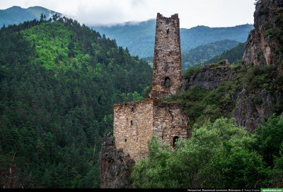 vovnushki_87